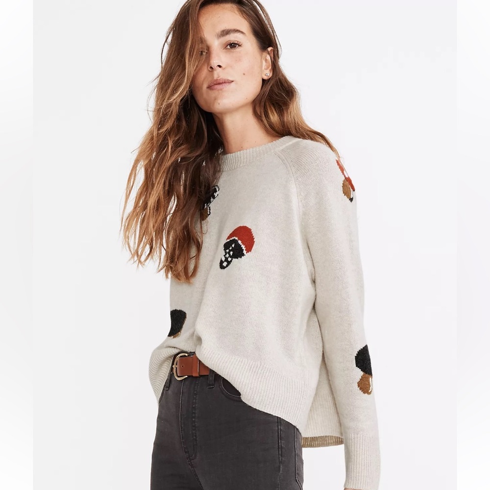 Madewell Intarsia Pullover Sweater